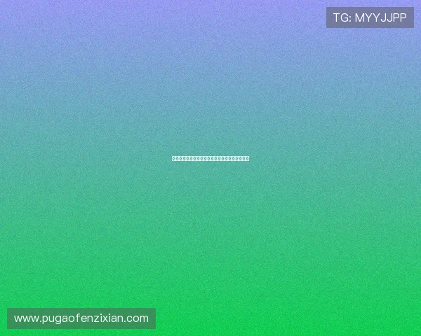 中村静香：光影之间，那些不曾褪色的温柔与力量