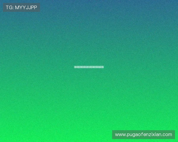 江城夏日：一场流动的盛宴，一次光影的漫游